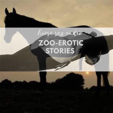 asstr horse|horse riding .